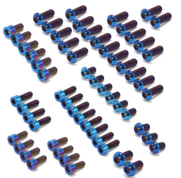 Ultra bee titanium bolt kit